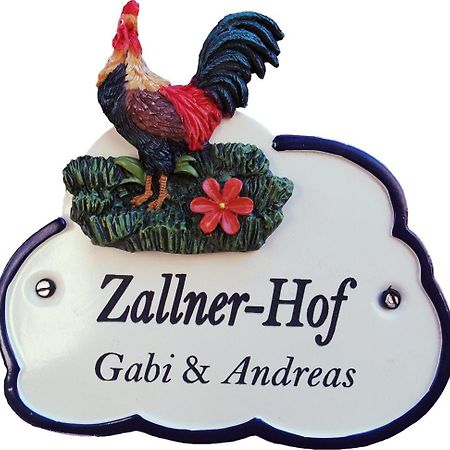 Ferienwohnung Zallnerhof Am Elberadweg In Steutz Exteriör bild